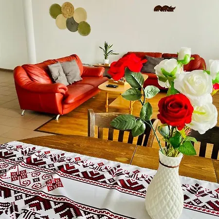 Granny House Apartment *
